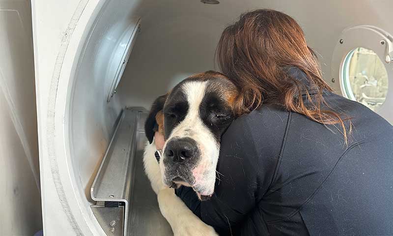 Hyperbaric Oxygen Therapy Services