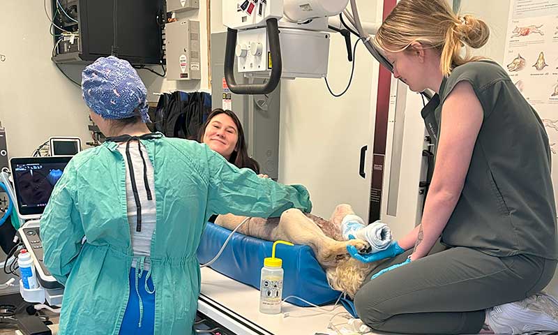 Emergency Care Services