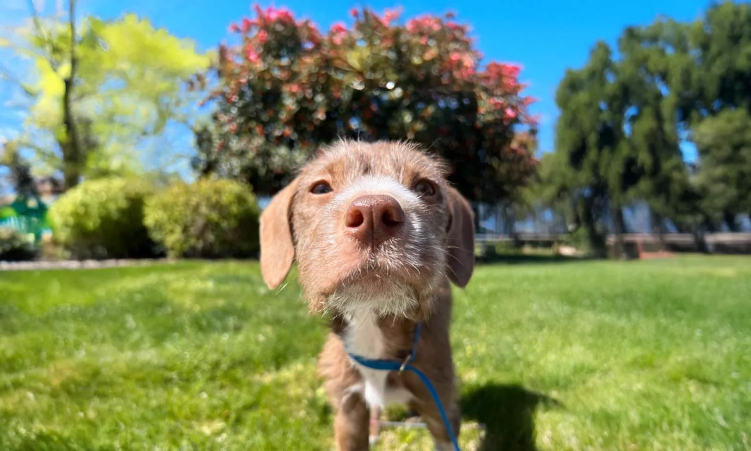 A CARE patient outdoors during recovery